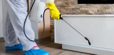 شركة مكافحة حشرات بالشارقة