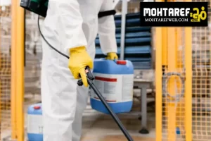 شركة مكافحة حشرات راس الخيمة 0582906045