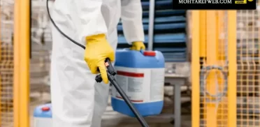 شركة مكافحة حشرات راس الخيمة 0582906045