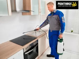 شركة مكافحة حشرات في دبي