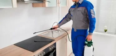 شركة مكافحة حشرات في دبي