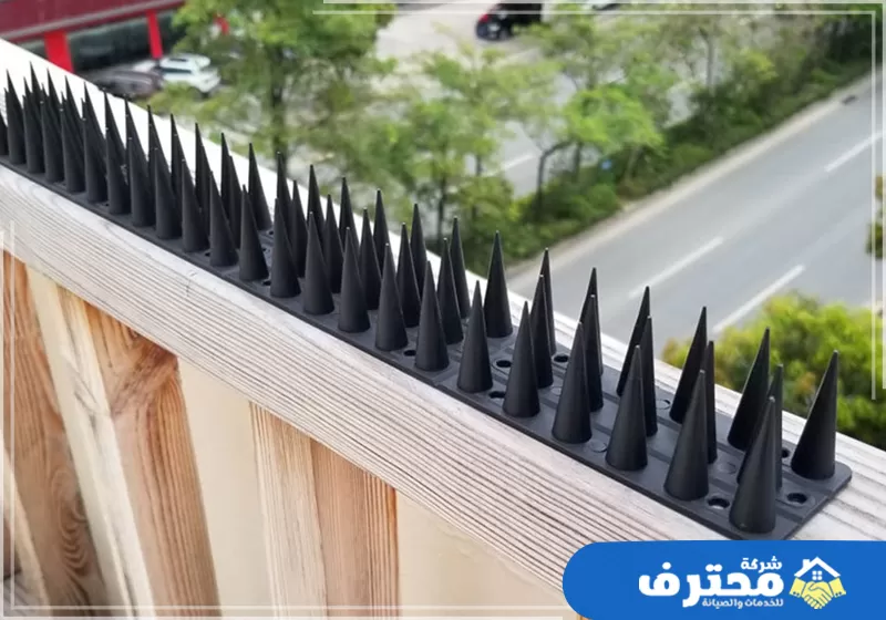 تركيب اشواك وجهاز طرد الحمام في دبي