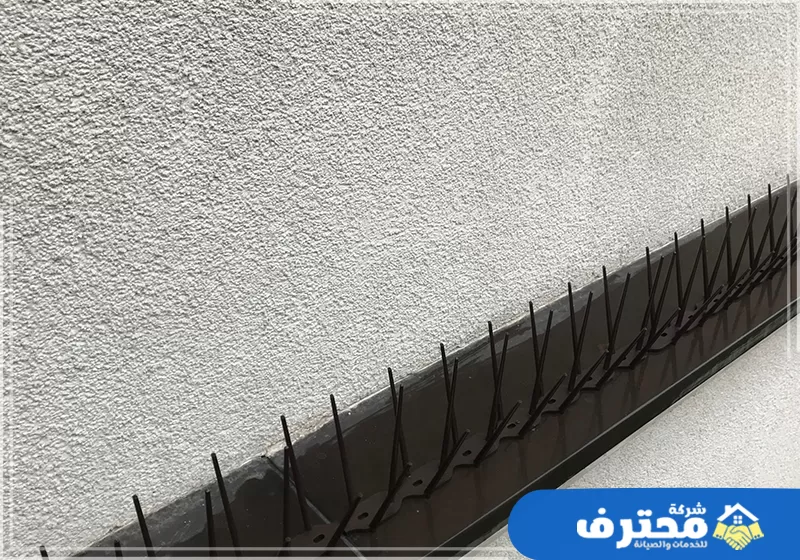 أسعار شركة مكافحة الحمام في دبي