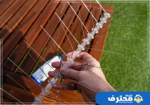 شركة مكافحة الحمام في الشارقة