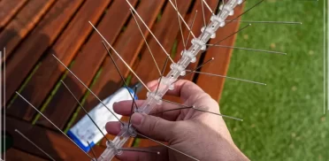 شركة مكافحة الحمام في الشارقة