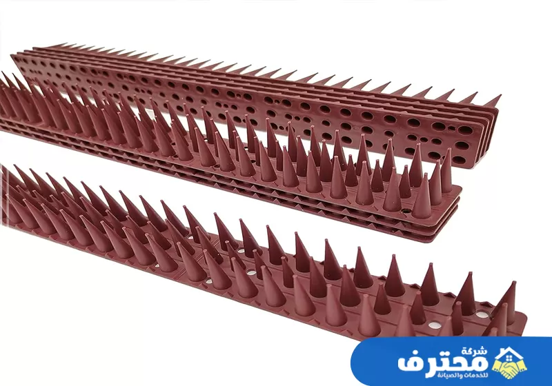 مكافحة الحمام في الشارقة