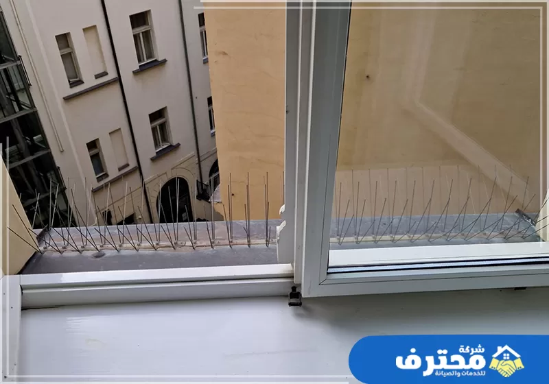 مكافحة الحشرات في الشارقة